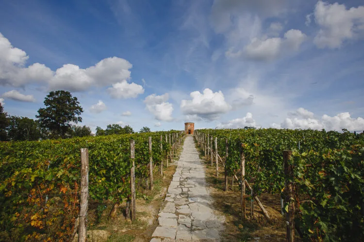 Al connubio pizza–nettare di Bacco dedicato il Villa Saletta Tour 2023