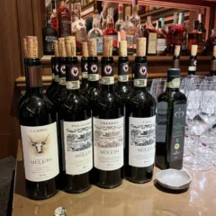 Camboi- Vigna Poggiarso Chianti Classico Gran Selezione 2019- Vigna Trebbio Chianti Classico Gran Selezione- Vigna Casi Chianti Classico Gran Selezione