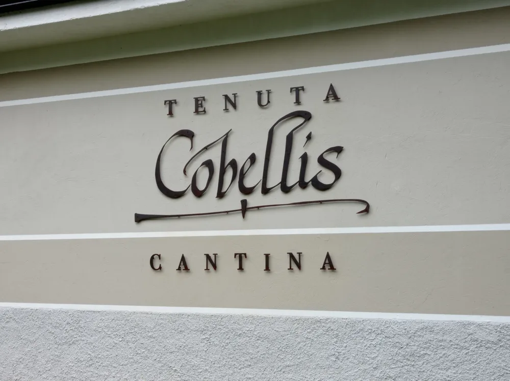Cantina Tenuta Cobellis