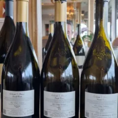 Cantina Terlano - mini verticale