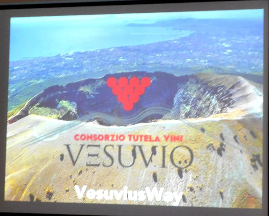 I Vini del Vesuvio