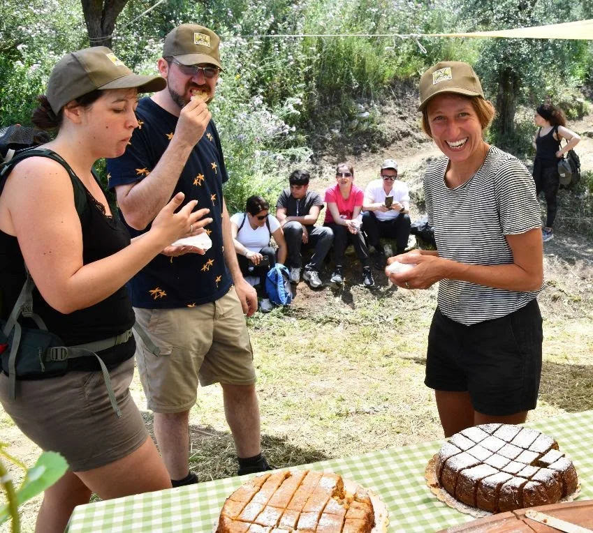 I dolci al gusto di olio di Capri