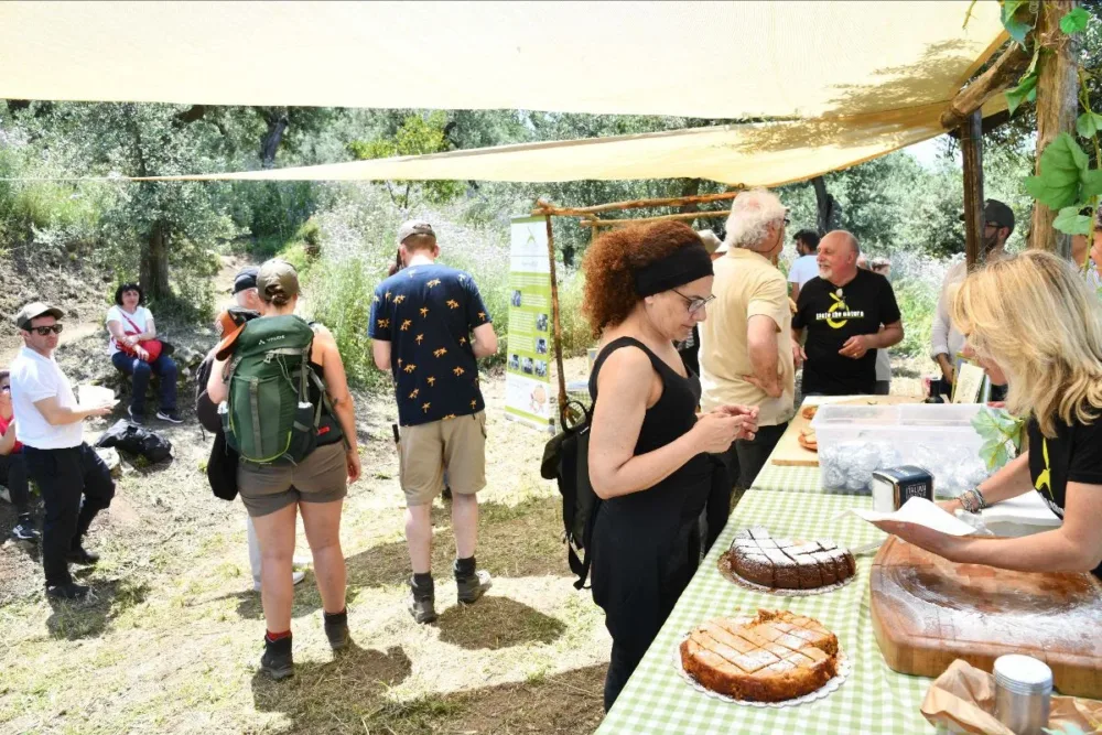 La giornata della merenda nell'oliveta ad Anacapri