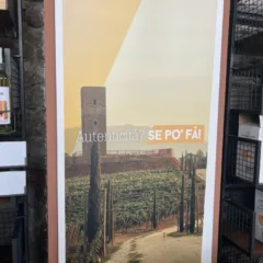 Roma DOC - Tenimenti Leone