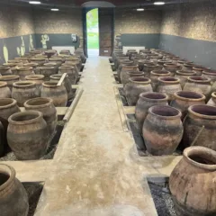 SiciliaenPrimeur - Cantina COS