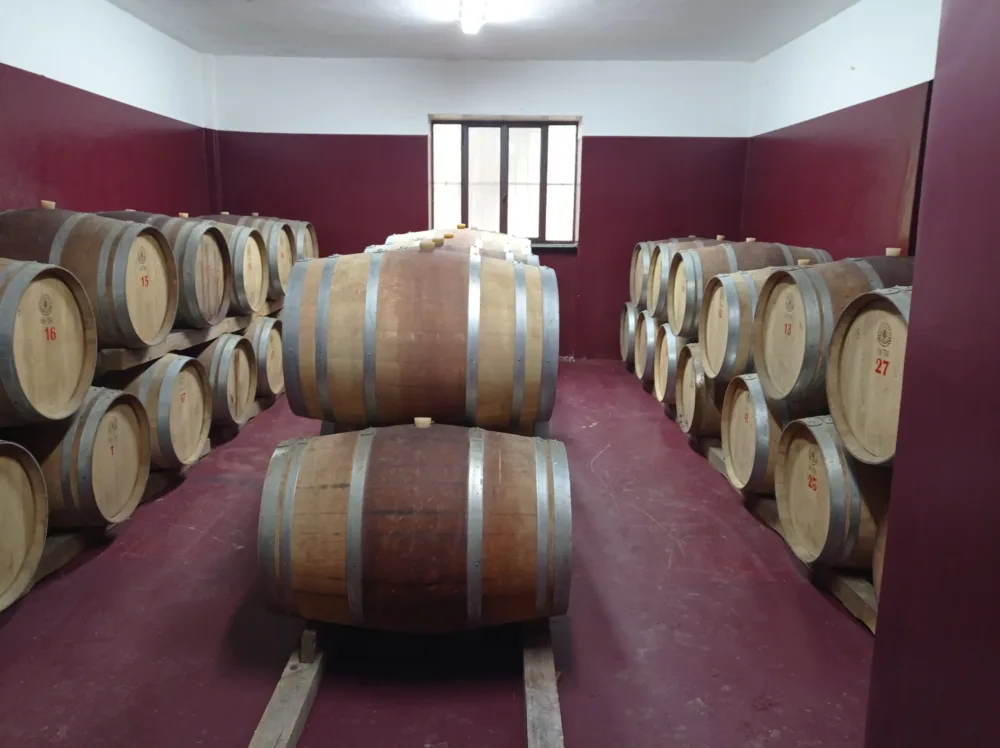 Tenuta Cobellis Barricaia