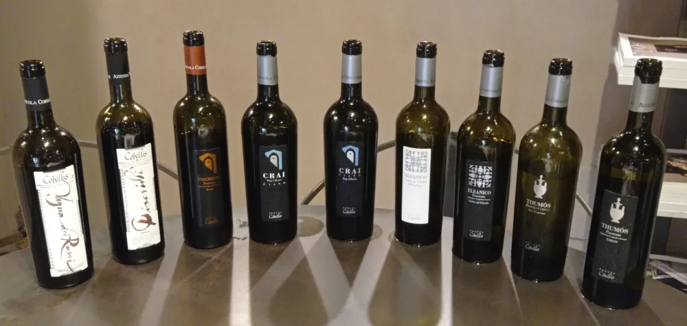 Vini assaggiatri Tenuta Cobellis