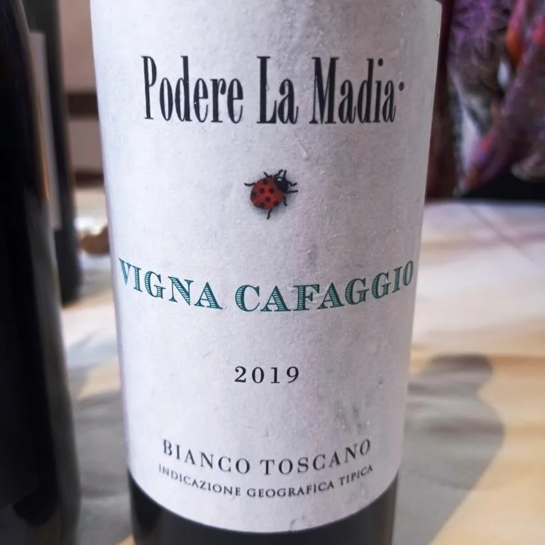 Vigna Cafaggio Bianco Toscano 2019, Toscana Igt, Podere La Madia