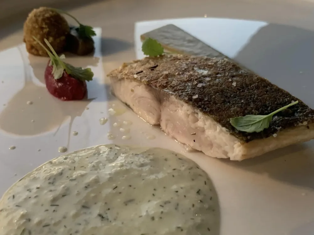 Ristorante Maxi a Capo La Gala, la pezzogna con salsa tzatziki