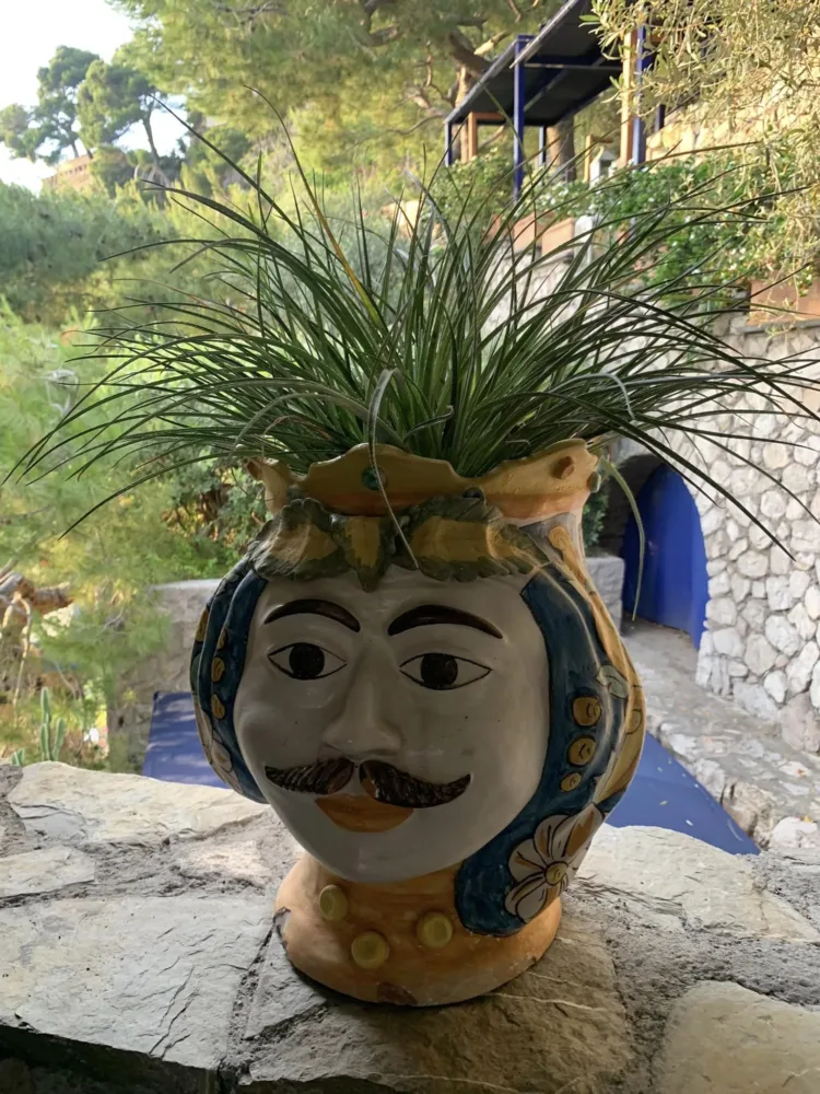 Ristorante Maxi a Capo La Gala, particolare