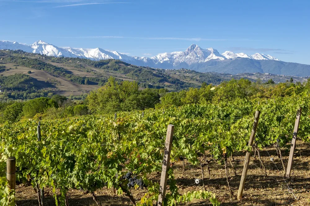 Vigne e Gran Sasso