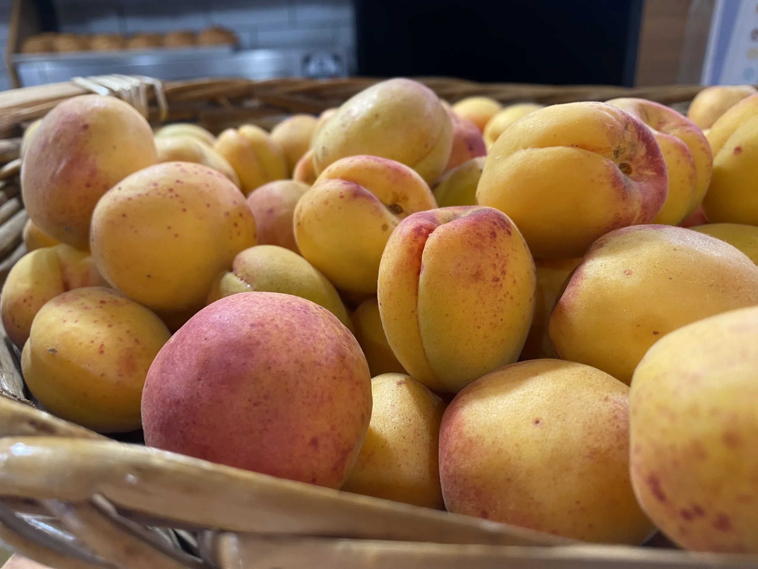 Albicocche-del-Vesuvio