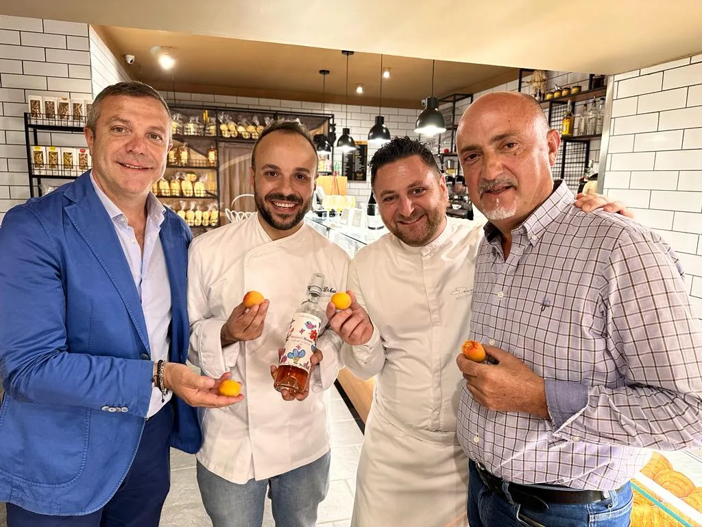 Massimo_Setaro_Catello_Di_Maio_Domenico_Iavarone_Gaetano_Romano