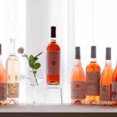 Rosati in Terra di Rosati 2023 - le bottiglie premiate per categoria