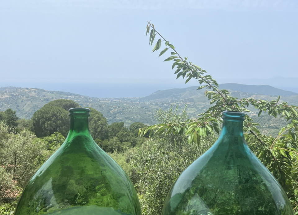 Taverna del Capitano - la veduta