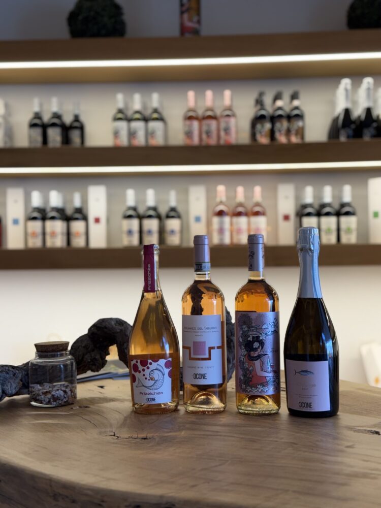 Wine shop - Ocone Taburno Wine County