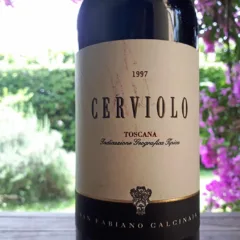Cerviolo Rosso 1997 San Fabiano Calcinaia