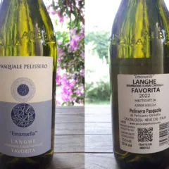 Langhe Favorita Emanuella 2022 Pasquale Pelissero
