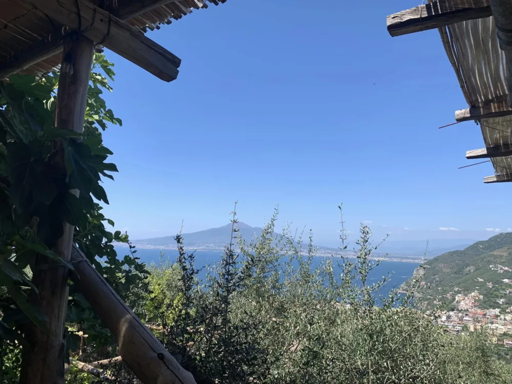 Villa Rosa di Nonna Rosa, il Vesuvio dai tavoli