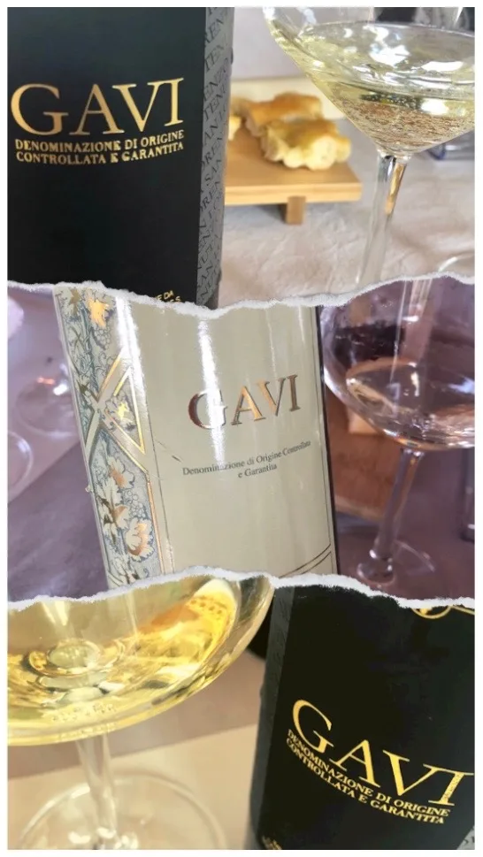 Gavi DOCG di Tenuta San Lorenzo