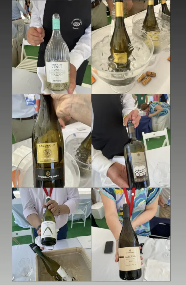 Alcune etichette di Vermentino in degustazione a VinoVip 2023