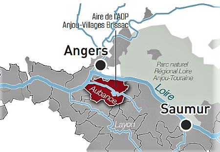 Aoc Anjou - Village Brissac