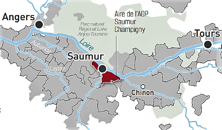 Aoc Saumur Champigny