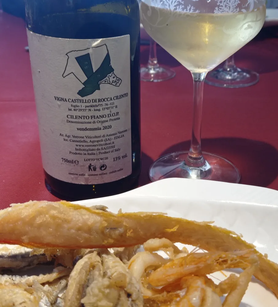 Controetichetta Cilento Fiano Vigna Castello di Rocca Cilento 2020 Dop Verrone