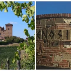 Castello di Grinzane Cavour - Entrata del Centro Enosis Meraviglia di Fubine AL