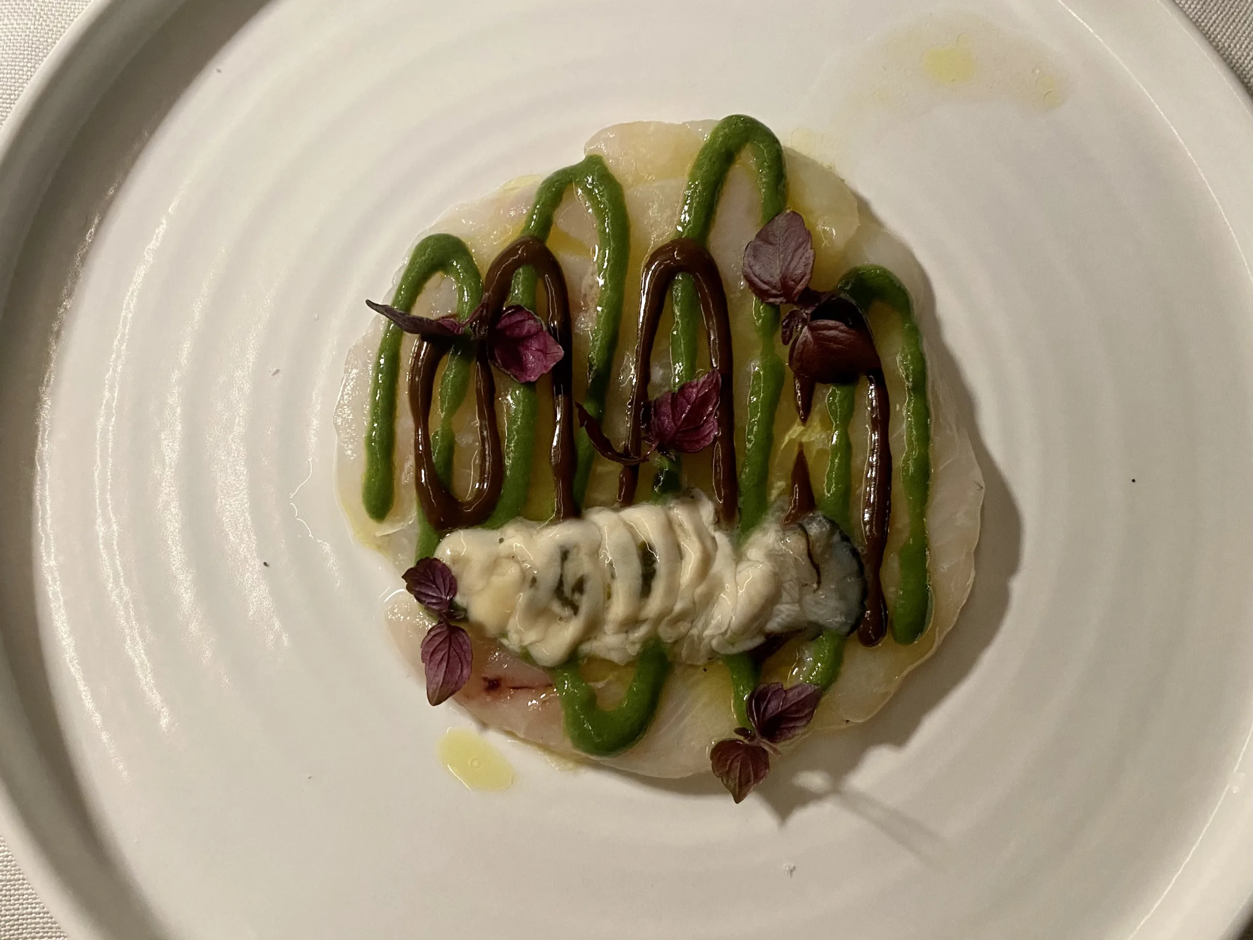 Crudo-di-tracina-ostriche-aglio-nero-e-prezzemolo