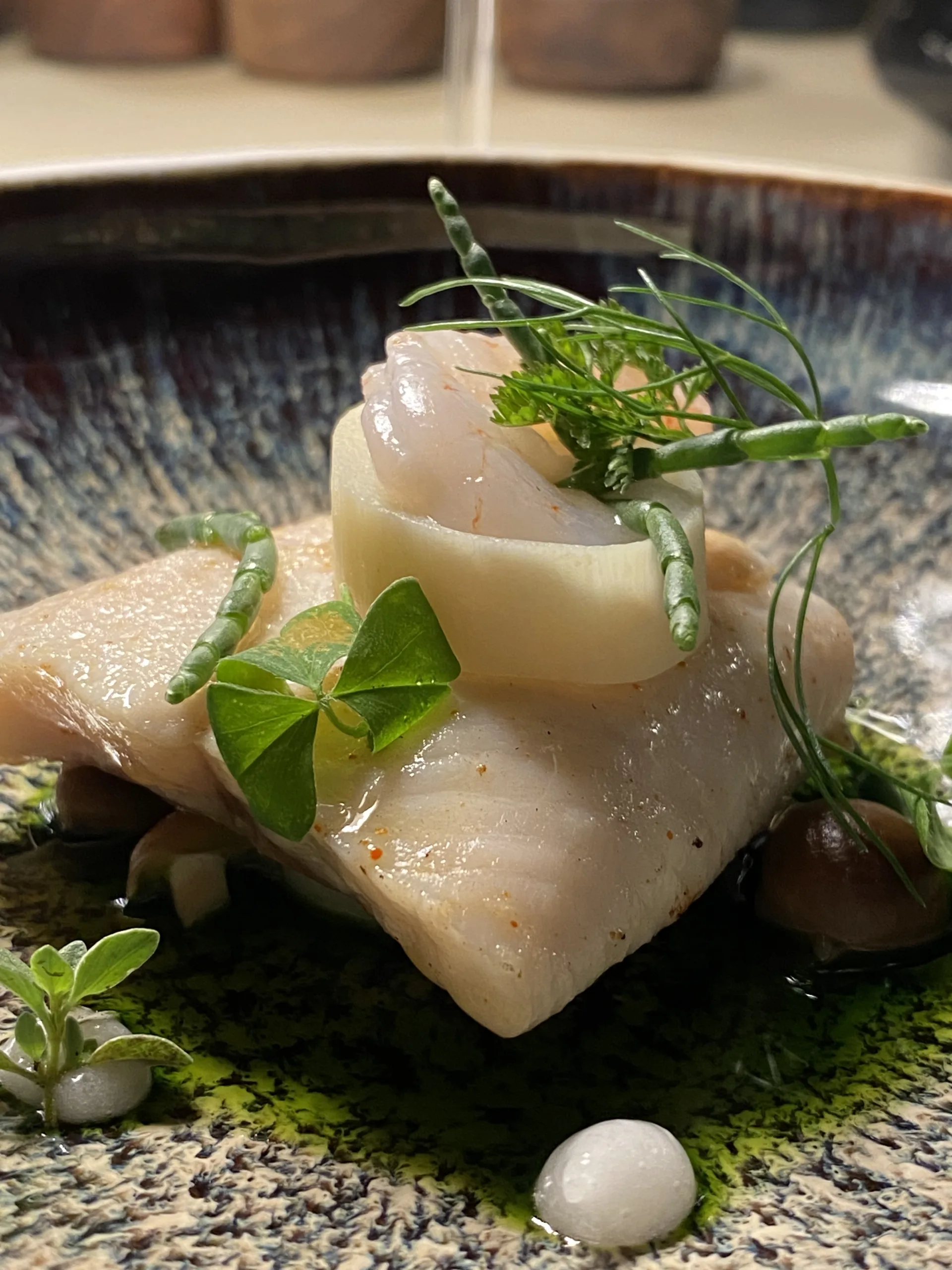 Huco-ceviche-di-cocco-bambu-e-trifoglio-verde