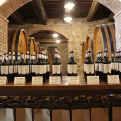 Sergio Zingarelli Chianti Classico Gran Selezione 2011