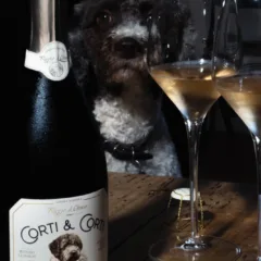 Il metodo classico con la mascotte di famiglia