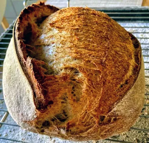 Pane all’Alga spirulina con Osmosi d’acqua di pomodoro San Marzano DOP - Cristian Oliviero