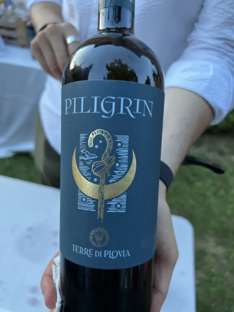 Piligrin, IGT Venezia Giulia di Albino Armani