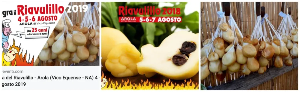 Sagra Riavulillo