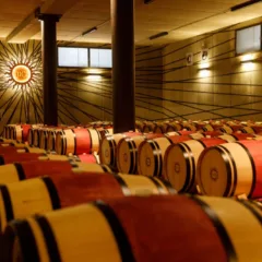 Tenuta Luce - Barricaia