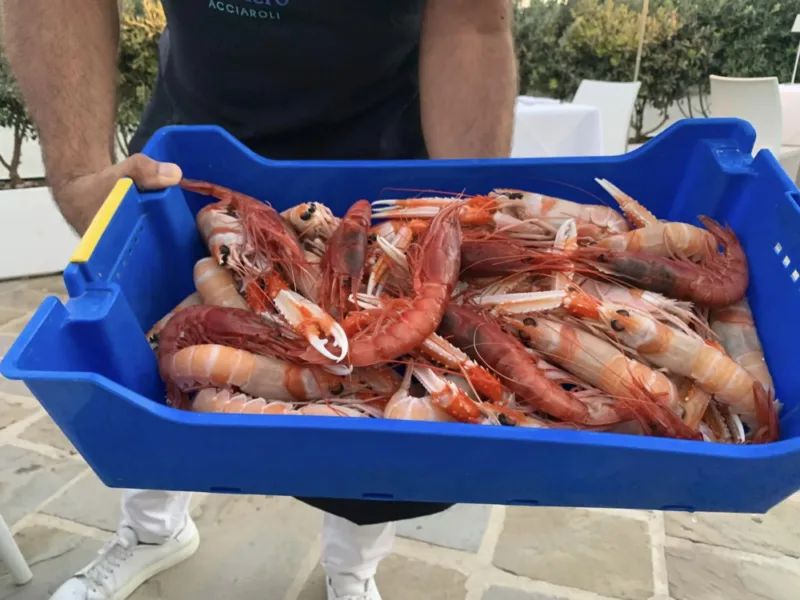 Il Veliero ad Acciaroli, scampi e gamberoni