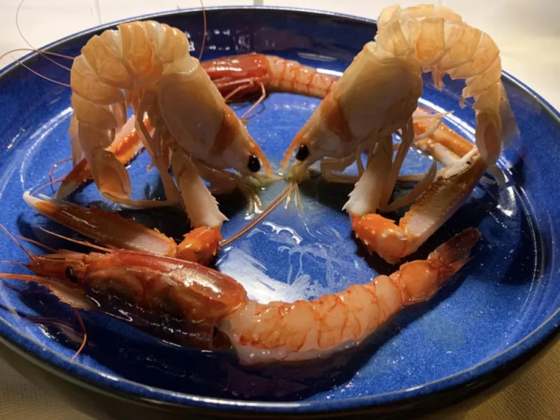 Il Veliero ad Acciaroli, crudo di gamberi e scampi