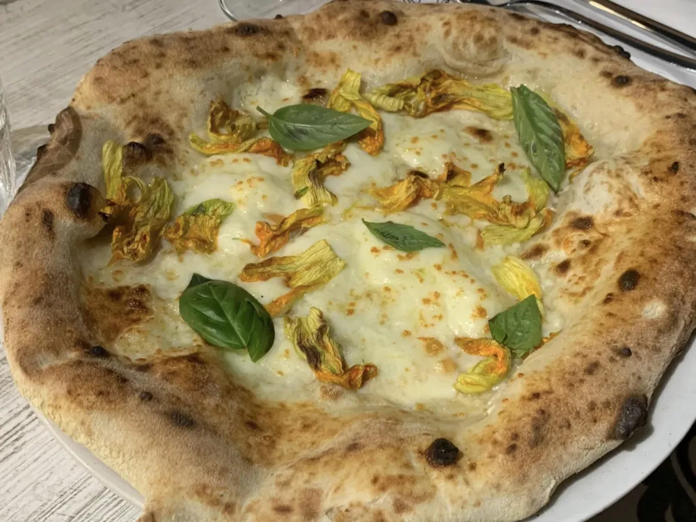 Arte bianca della Pizza, la bianca con provola e fiori