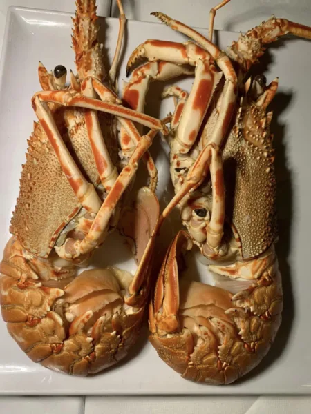 Il Veliero ad Acciaroli, l'aragosta della cena