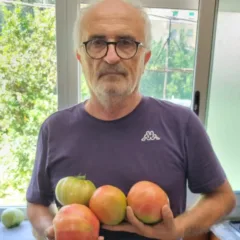 Antonino Siniscalchi e Il pomodoro di Sorrento