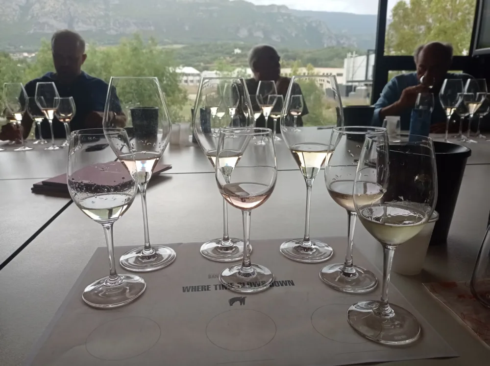 Degusdtazione vini di San Salvatore 1988 con Peppino Pagano