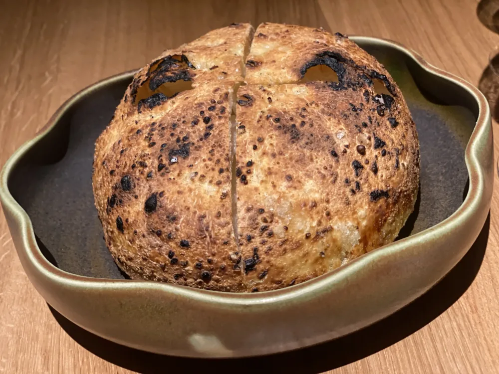 Gatto verde - pane