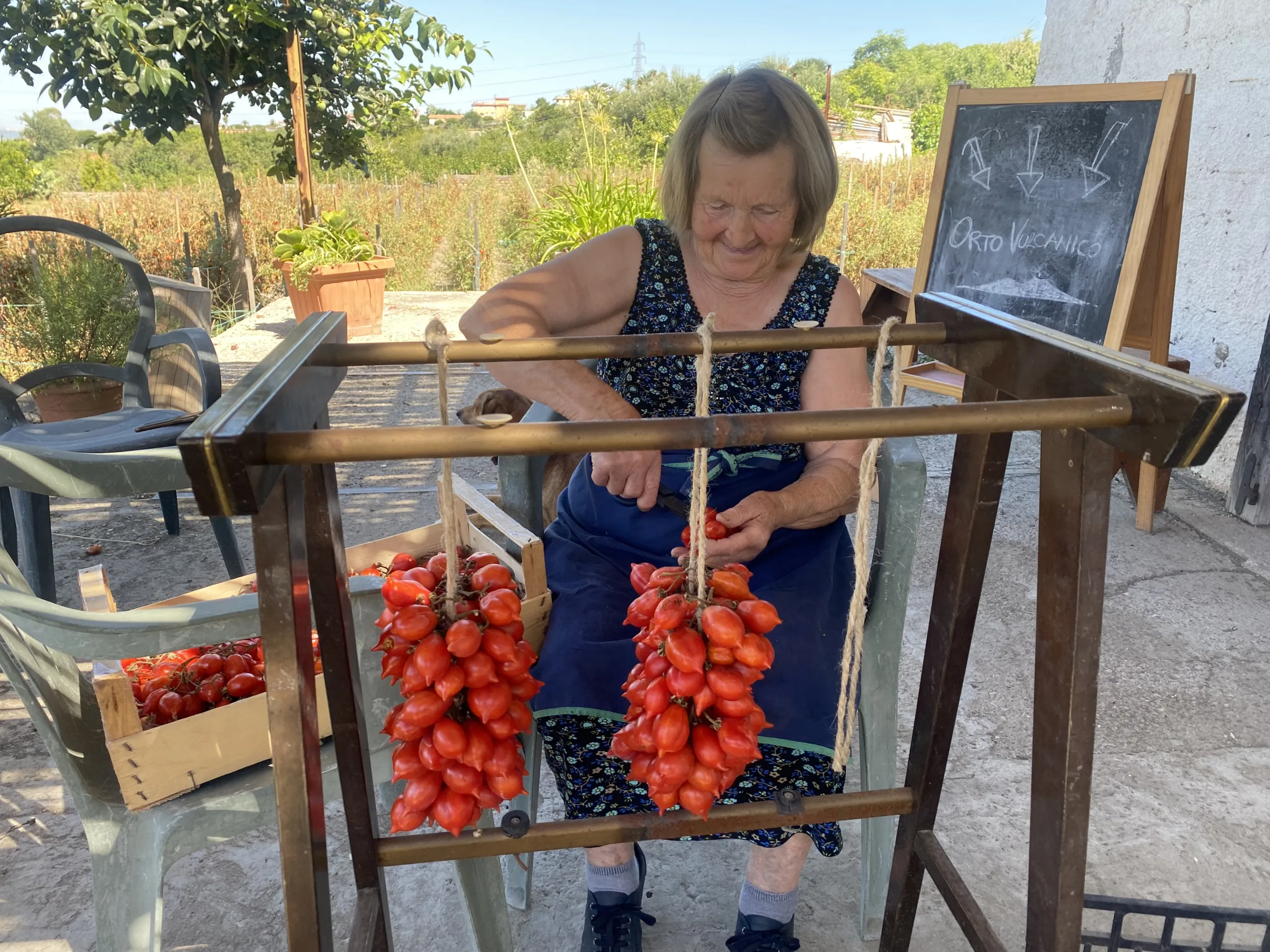 Lavorazione-del-piennolo