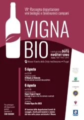 Locandina Vigna Bio Festival della Dieta Mediterranea 2023