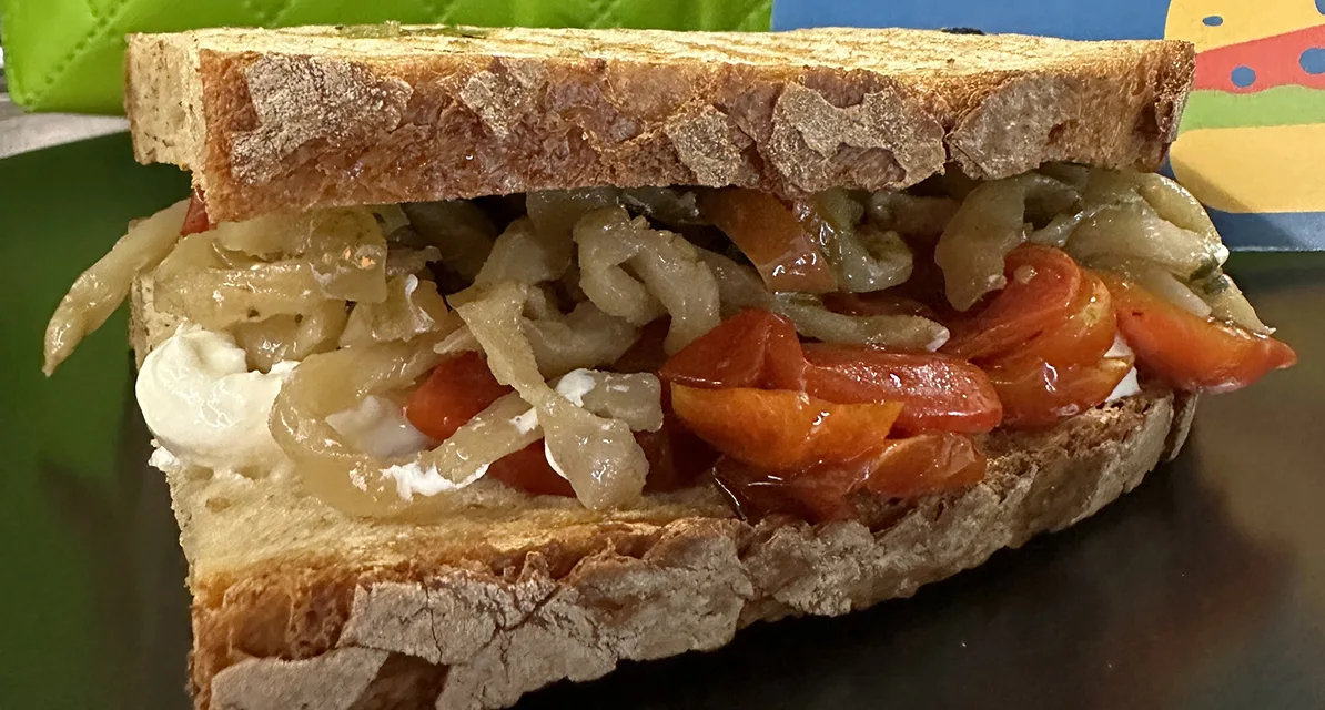 La zingara dell'amico di Angelo Lupo