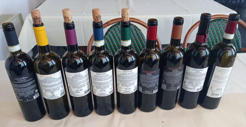 Tenuta Cavalier Pepe Controetichette vini degustati