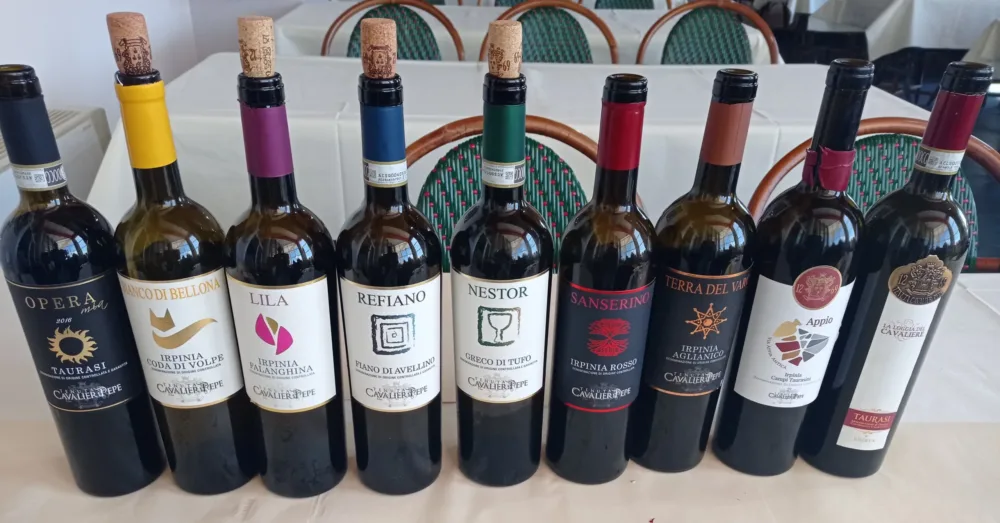 Tenuta Cavalier Pepe Vini degustati