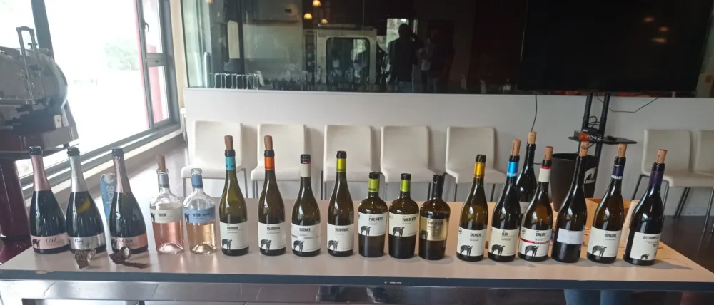 Vini di San Salvatore 1988 degustati